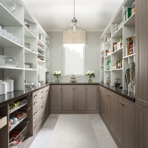 https://innovatehomeorg.com/wp-content/uploads/2020/08/pantry-01-walk-in-pantry-300x300.jpg