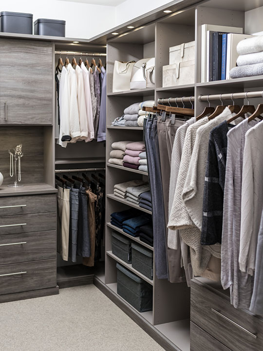 Large Walk- In Closet with Shelving  Wire closet shelving, Closet  apartment, Closet layout